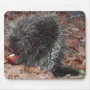 Porcupine and Apple Mouse Mat