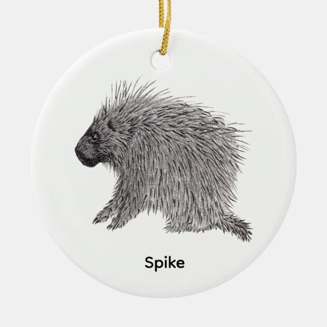 Porcupine Ceramic Tree Decoration (Front)