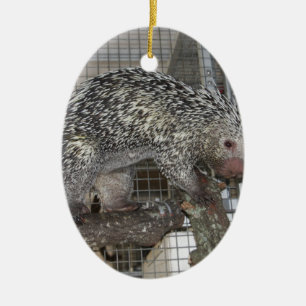 Porcupine Ceramic Tree Decoration