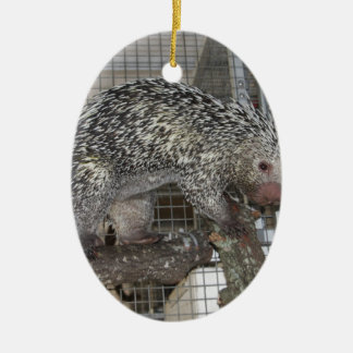 Porcupine Ceramic Tree Decoration