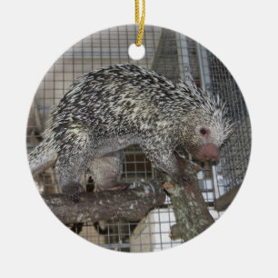 Porcupine Ceramic Tree Decoration