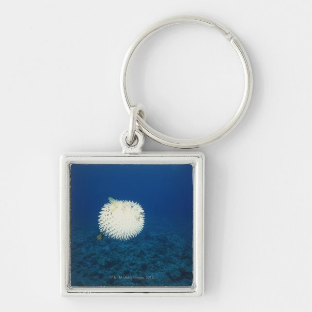 Porcupine Fish Key Ring (Front)