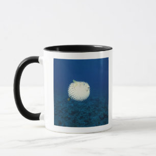 Porcupine Fish Mug