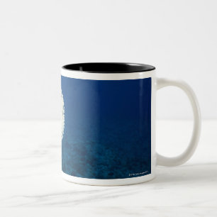 Porcupine Fish Two-Tone Coffee Mug
