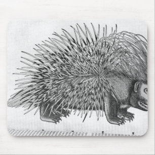Porcupine, from 'Historia Animalium' Mouse Mat