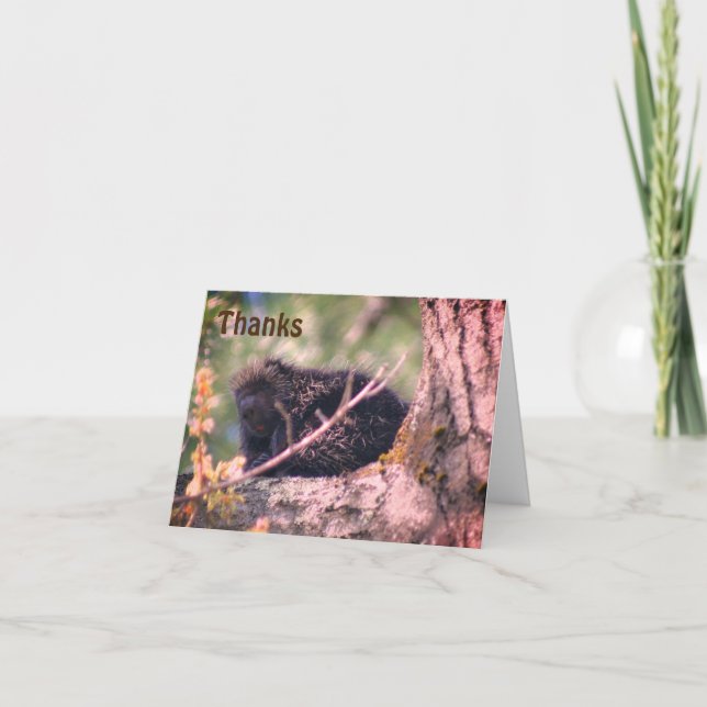 Porcupine In Tree Wildlife Thank You Card (Front)