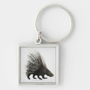 Porcupine Key Ring