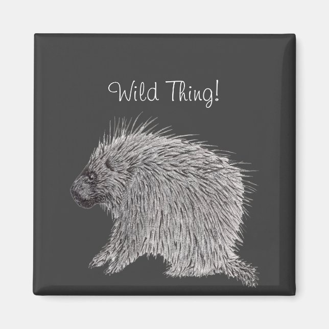 Porcupine Magnet (Front)