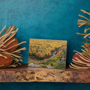 Porcupine Mountains Wilderness State Park Plaque