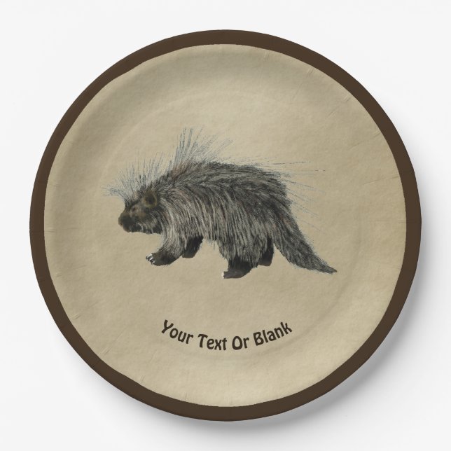 Porcupine On Old Paper Plate (Front)