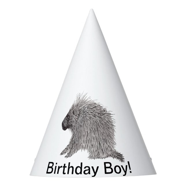 Porcupine Party Hat (Front)