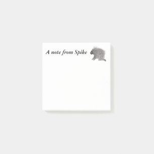 Porcupine Post-it Notes