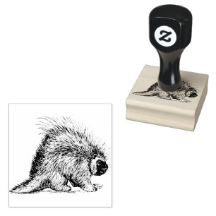 Porcupine Quill   Rubber Stamp
