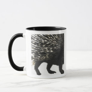 Porcupine quills mug