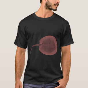 Porcupine River Stingray T-Shirt