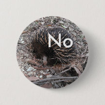 Porcupine says: No