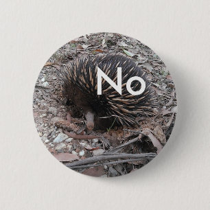 Porcupine says: No 6 Cm Round Badge
