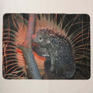Porcupine sherpa blanket