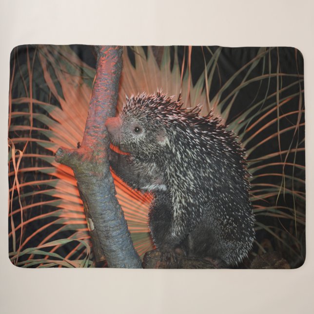 Porcupine  sherpa blanket (Front (Horizontal))