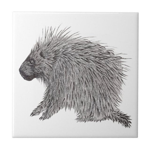 Porcupine Tile (Front)