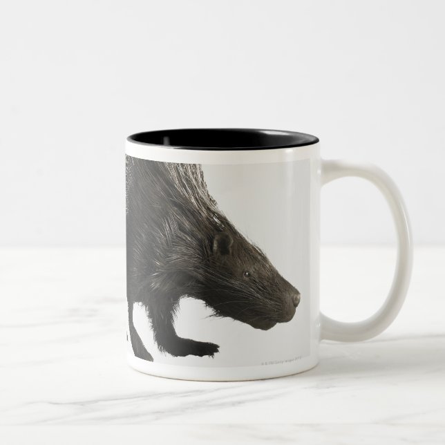 Porcupine Two-Tone Coffee Mug (Right)