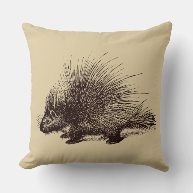 porcupine Vintage illustration Cushion (Front)