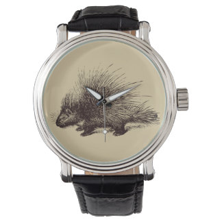 porcupine Vintage illustration Watch
