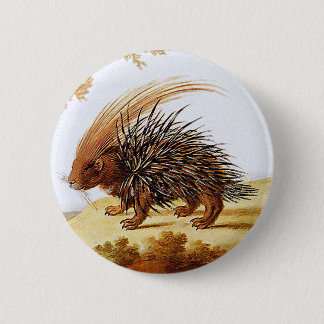 Porcupine - Vintage Porcupine Painting (detail) 6 Cm Round Badge