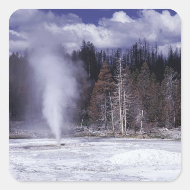 Pork Chop Geyser ,Yellowstone National Park Square Sticker (Front)