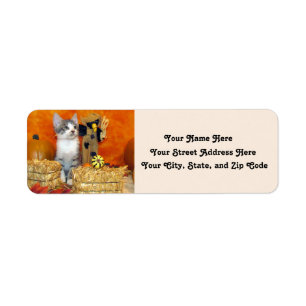 Pork Chop's Fall Address Labels (Kitten / Cat)