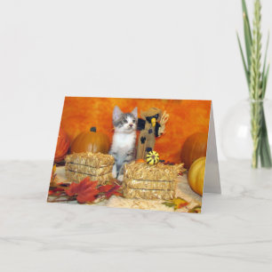 Pork Chop's Fall / Thanksgiving Card - Cat