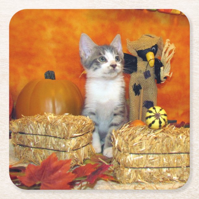 Pork Chop's Thanksgiving - Cat Paper Coaster (Front)