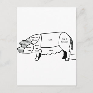 Pork Diagram Postcard
