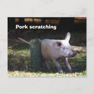 'Pork scratching' postcard