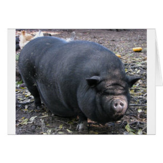 PORKER