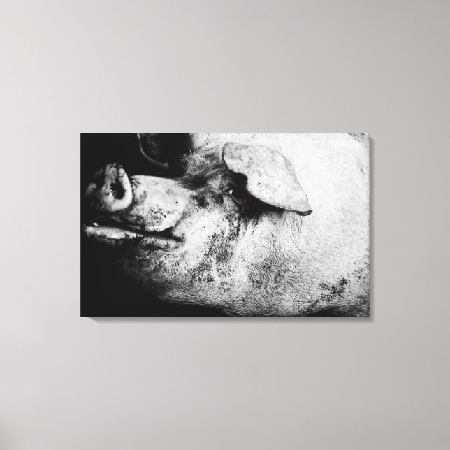 porker portrait canvas print (Front)