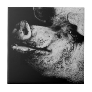 porker portrait tile