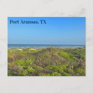 Port Aransas Texas Beach Grass Photography  Postcard