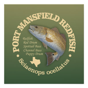 Port Mansfield (redfish) Poster