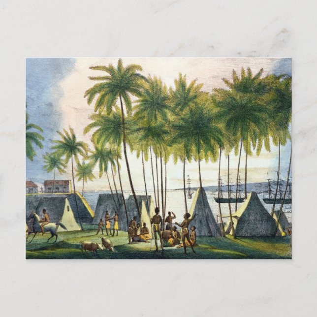 Port of Hanarourou in the Sandwich Islands Postcard (Front)