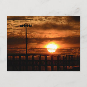 Port Of Oakland Sunset Postcard