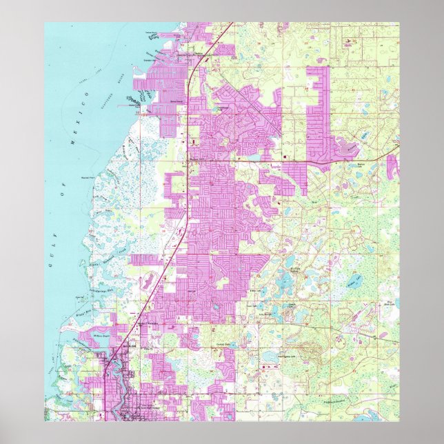 Port Richey & New Port Richey Florida Map (1954) Poster (Front)