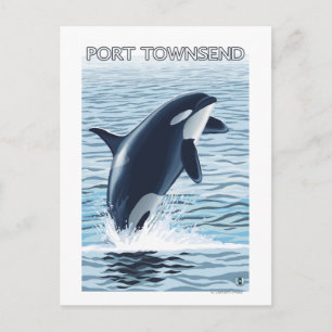 Port Townsend, WashingtonOrca Jumping Postcard