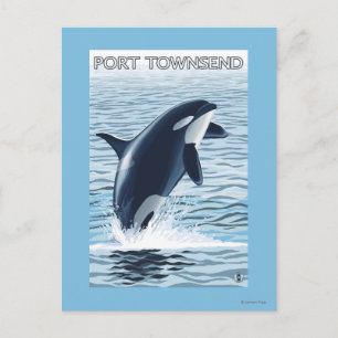 Port Townsend, WashingtonOrca Jumping Postcard