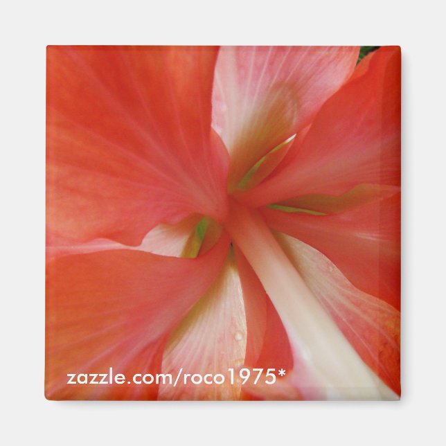 Portata Magnet (Front)