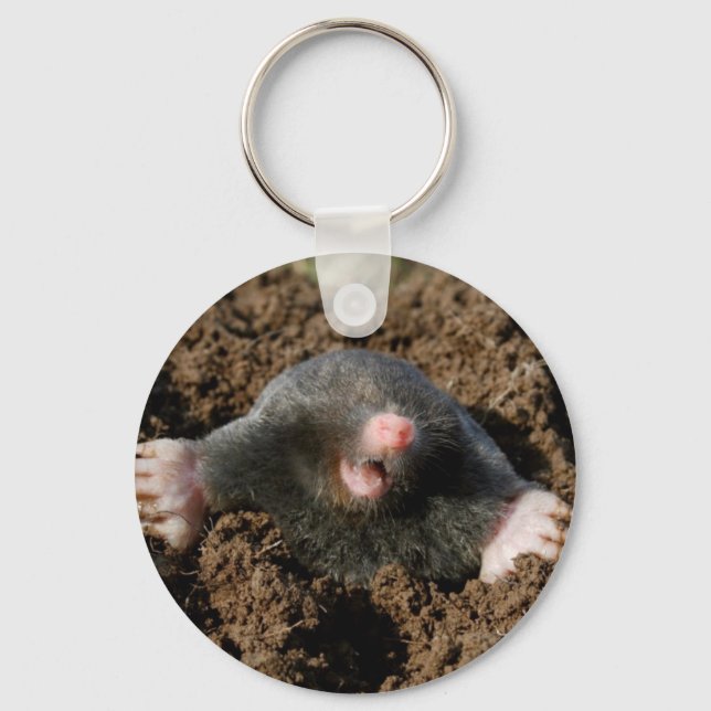 Porte-clé Taupe Key Ring (Front)