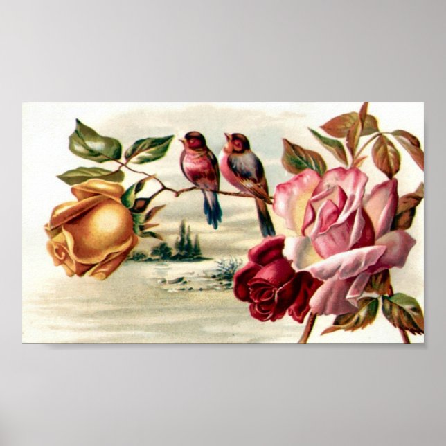 Portfolio Vintage Bird Roses Poster (Front)