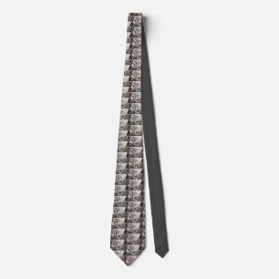 Portico of Octavia Rome Black and White Art Tie