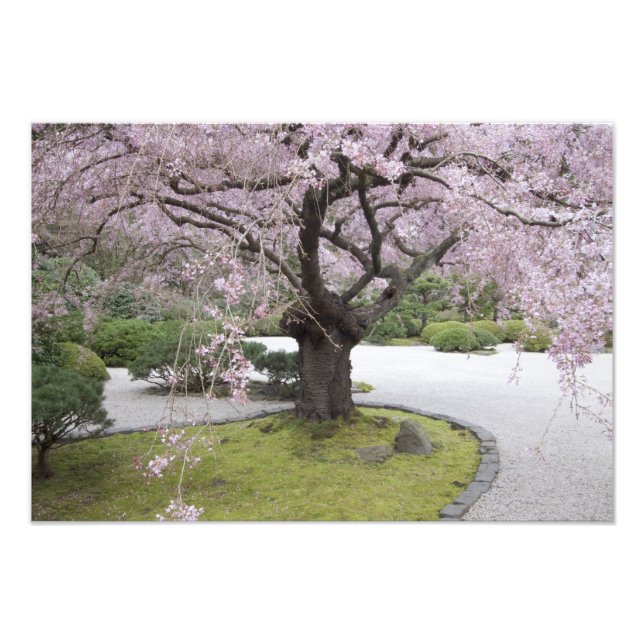 Portland Japanese Gardern, Portland, Oregon, Photo Print (Front)