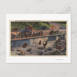 Portland, ORBear Dens in Washington Park Postcard